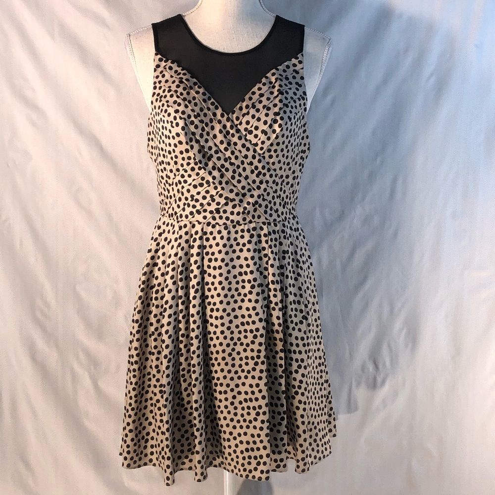 BCBGENERATION Tan Sleeveless Fit and Flare with Black Polka  Dots Dress 4👍